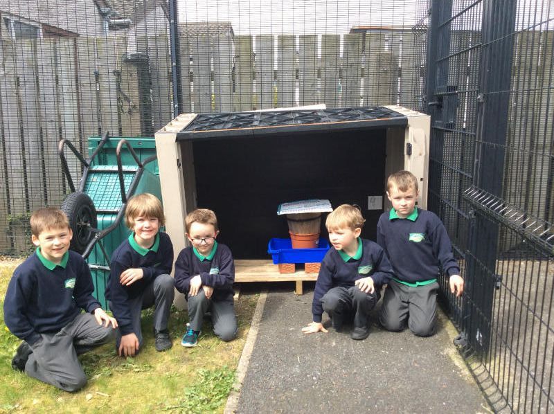 Peistlann Rang 2- P2 busy making their wormery today in school