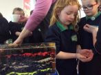 Mionbheithígh/ Fun with minibeasts